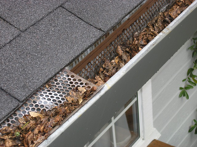 Gutter Guard Philadelphia